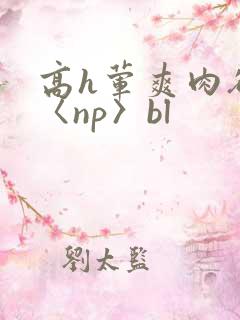 高h荤爽肉欲文〈np〉bl