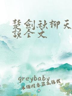 楚剑秋柳天瑶小说全文