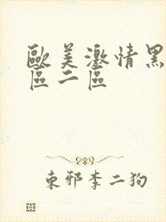 欧美激情黑人一区二区