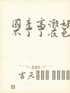 国产高潮好爽受不了了夜色