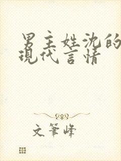 男主姓沈的小说现代言情