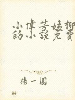 小伟芳姨柳娇娇的小说免费阅读