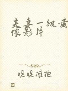 夫妻一级黄色录像影片