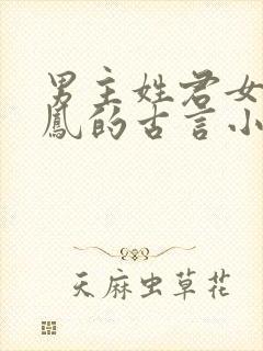 男主姓君女主姓凤的古言小说