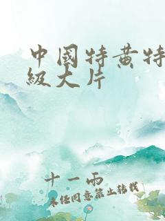中国特黄特黄一级大片