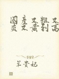 国产又粗又猛又爽又黄到高潮视频