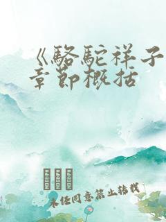 《骆驼祥子》每章节概括