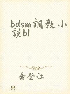 bdsm调教小说bl