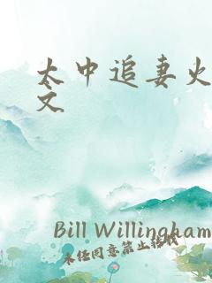 太中追妻火葬场文