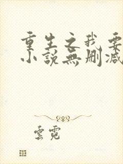 重生之我要冲浪小说无删减