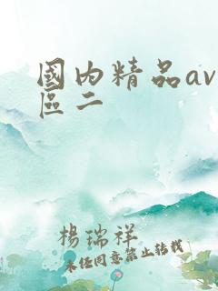 国内精品av一区二