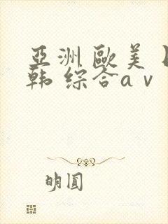 亚洲 欧美 日韩 综合aⅴ视频