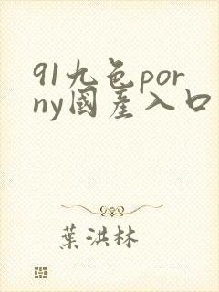 91九色porny国产入口