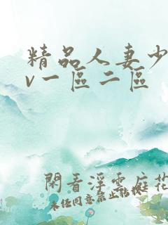 精品人妻少妇av一区二区