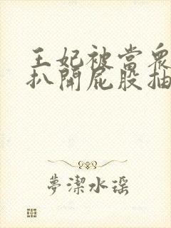 王妃被当众调教扒开屁股抽打