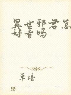 异世邪君怎么样好看吗