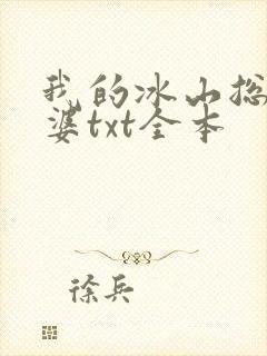 我的冰山总裁老婆txt全本