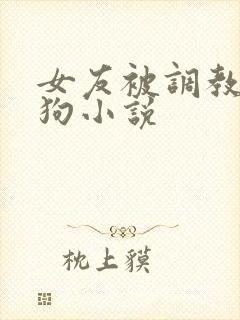 女友被调教成母狗小说