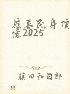 应喜民身价多少亿2025
