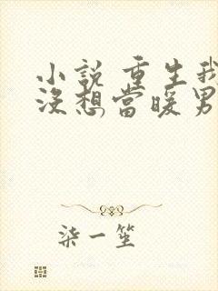 小说 重生我真没想当暖男