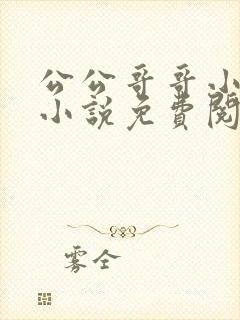 公公哥哥小叔子小说免费阅读无弹窗