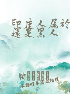 印度人属于白人还是黑人