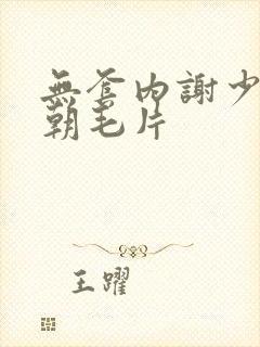 无套内谢少妇高朝毛片