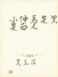 小仲马是黑人还是白人