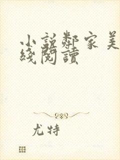 小说邻家美姨在线阅读