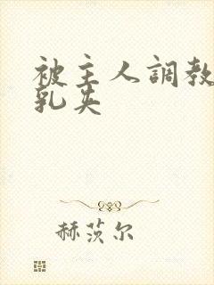 被主人调教惩罚乳夹