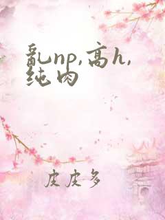 乱np,高h,纯肉