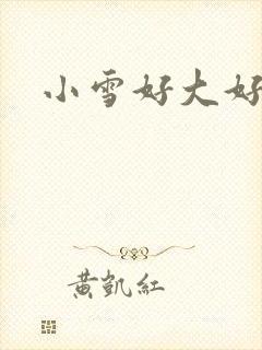 小雪好大好紧