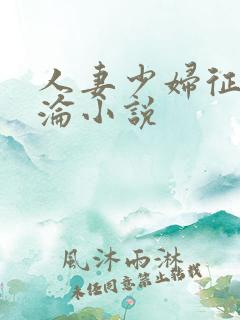 人妻少妇征服沉沦小说