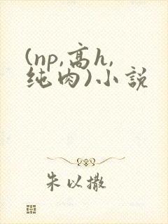 (np,高h,纯肉)小说