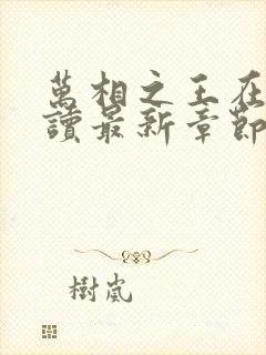 万相之王在线阅读最新章节