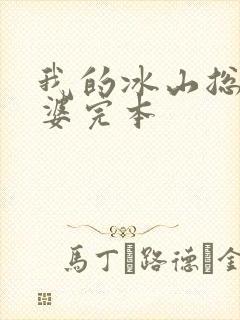 我的冰山总裁老婆完本