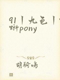 91丨九色丨蝌蚪pony
