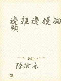 边亲边摸胸的视频