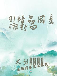 91精品国产高潮对白