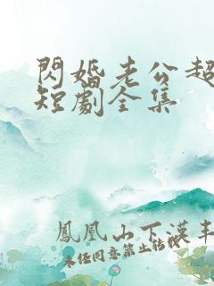 闪婚老公超给力短剧全集