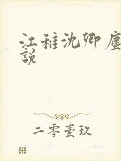 江稚沈卿尘的小说