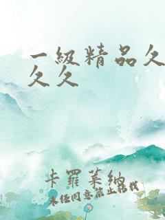 一级精品久久久久久