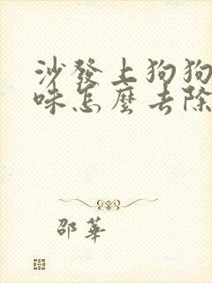 沙发上狗狗尿骚味怎么去除