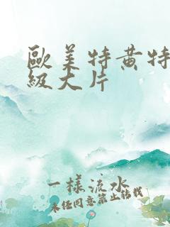欧美特黄特色一级大片