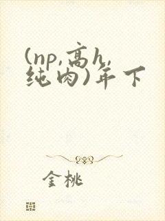 (np,高h,纯肉)年下