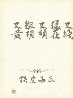 又粗又猛又爽又黄视频在线观看