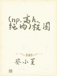 (np,高h,纯肉)校园