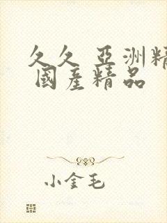 久久 亚洲精品 国产精品