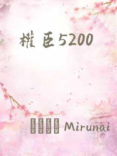 权臣5200