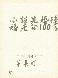 小说先婚后爱闪婚老公100分最新章节